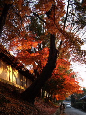 東福寺界隈(1)