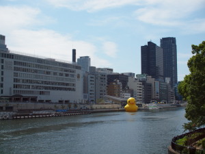 Duck2