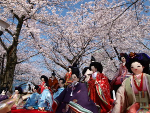 お雛さまと桜